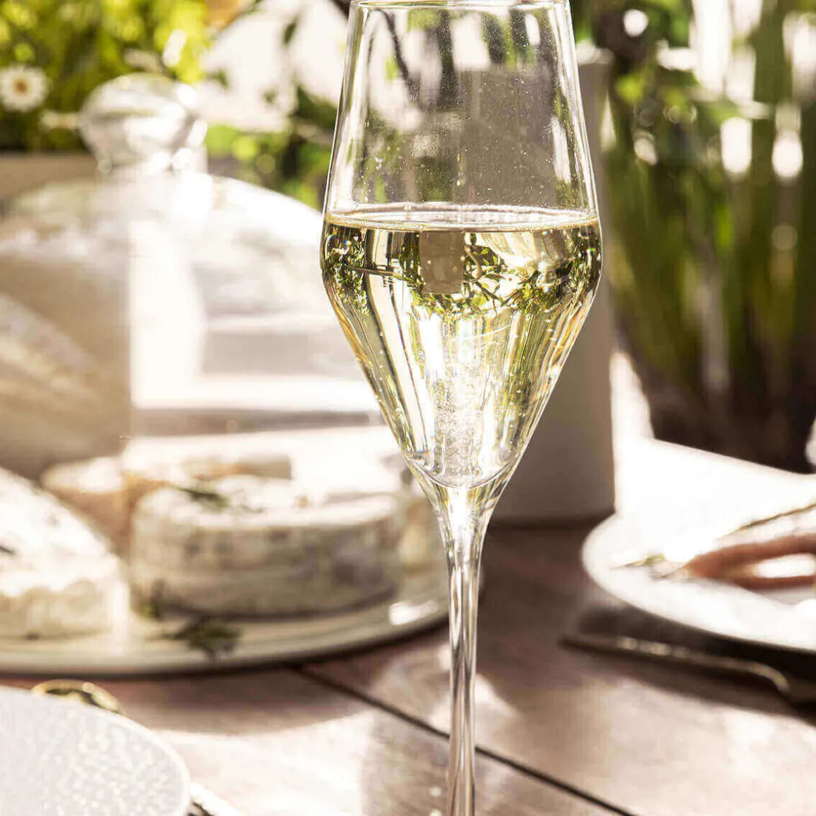 ALLURE Flûte à champagne 26 cl