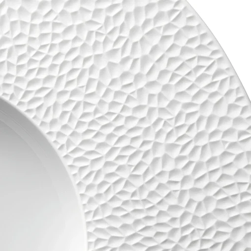 COLLECTION L FRAGMENTS BLANC Assiette gourmet grand bassin 30 cm