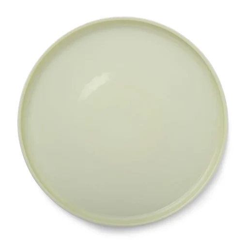 LA VAISSELLE DE L'ECONOME ARTICHAUT VERT Coffret 4 assiettes 24 cm