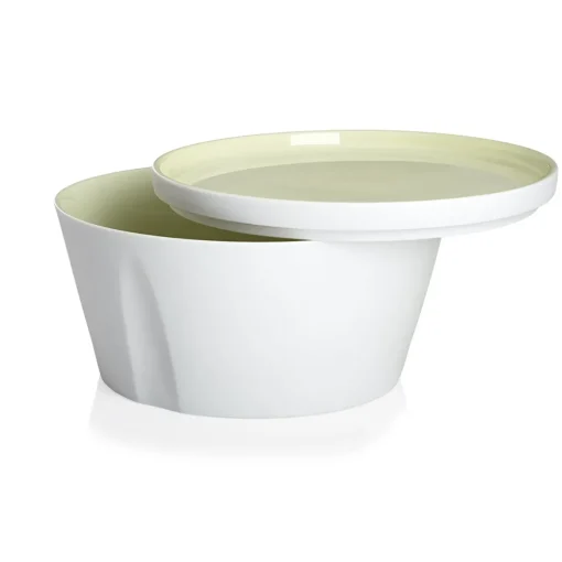 LA VAISSELLE DE L'ECONOME ARTICHAUT VERT Coffret bol droit et assiette 18 cm