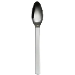 MODULO MIROIR Cuillère à agrumes