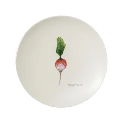 SAISONS Coffret 4 assiettes 19 cm légumes