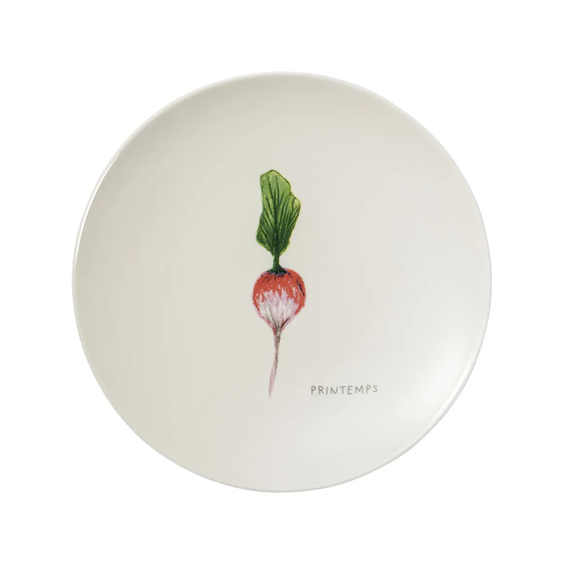 SAISONS Coffret 4 assiettes 19 cm légumes