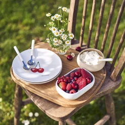SAISONS Coffret 4 assiettes 19 cm fruits